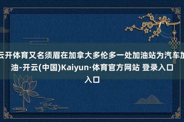 云开体育又名须眉在加拿大多伦多一处加油站为汽车加油-开云(中国)Kaiyun·体育官方网站 登录入口