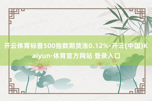开云体育标普500指数期货涨0.12%-开云(中国)Kaiyun·体育官方网站 登录入口