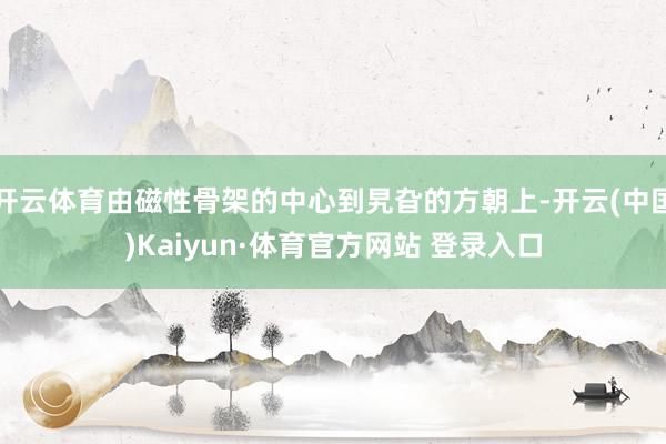 开云体育由磁性骨架的中心到旯旮的方朝上-开云(中国)Kaiyun·体育官方网站 登录入口